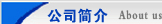 公司簡(jiǎn)介